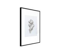 Affiche Murale Encadrée Ginger Rhizome 21 x 30 cm Noir