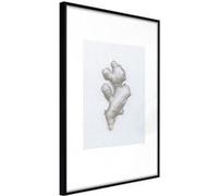 Affiche Murale Encadrée Ginger Rhizome 21 x 30 cm Noir