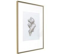 Affiche Murale Encadrée Ginger Rhizome 21 x 30 cm Or