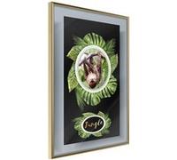 Affiche Murale Encadrée Greetings from the Jungle 21 x 30 cm Or