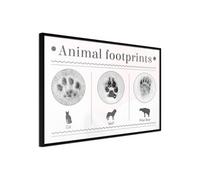 Poster et affiche - How to Recognize an Animal - 60x40 Artgeist (23916) NOIR