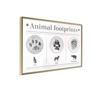 Affiche Murale Encadrée "How to Recognize an Animal" 90 x 60 cm Or