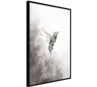 Affiche Murale Encadrée "Hummingbird in Shades of Grey" 21 x 30 cm Noir Multicolore G