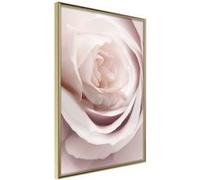 Poster et affiche - Inside of the Soul - 30x45 (24422)