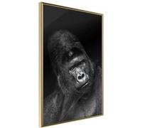 Affiche Murale Encadrée "Intelligent Gaze" 40 x 60 cm Or Multicolore G