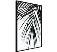Affiche Murale Encadrée "Leaf and Its Shadow" 30 x 42 cm Noir NOIR G