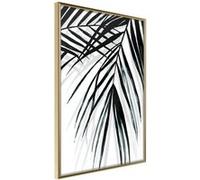 Affiche Murale Encadrée Leaf and Its Shadow 30 x 42 cm Or