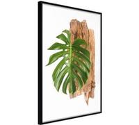 Affiche Murale Encadrée "Leafy Etude" 30 x 42 cm Noir NOIR G