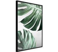 Affiche Murale Encadrée Leaves Like Swiss Cheese 30 x 42 cm Noir NOIR