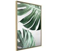Affiche Murale Encadrée Leaves Like Swiss Cheese 30 x 42 cm Or G