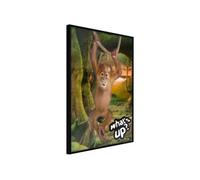 Poster et affiche - Life in the Jungle - 20x30 Artgeist (25416) NOIR