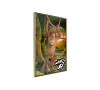 Poster et affiche - Life in the Jungle - 20x30 Artgeist (25418)