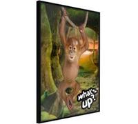 Poster et affiche - Life in the Jungle - 30x45 Artgeist (25422) NOIR