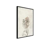 Affiche Murale Encadrée "Life of Plants" 21 x 30 cm Noir