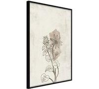 Poster et affiche - Life of Plants - 20x30 Artgeist (25434) NOIR