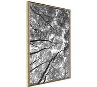 Affiche Murale Encadrée Lying on the Grass 30 x 42 cm Or