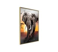 Affiche Murale Encadrée "Majestic Elephant" 30 x 42 cm Or