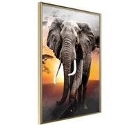 Poster et affiche - Majestic Elephant - 30x45 Artgeist (26420)