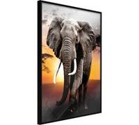 Poster et affiche - Majestic Elephant - 40x60 Artgeist (26424) NOIR