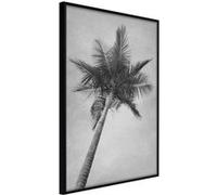 Affiche Murale Encadrée Memories from the Paradise 21 x 30 cm Noir NOIR