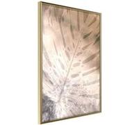 Affiche Murale Encadrée "Monstera of Dreams" 30 x 42 cm Or Multicolore G