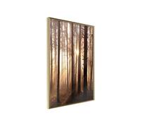 Poster et affiche - Morning in the Forest - 30x45 Artgeist (27254)