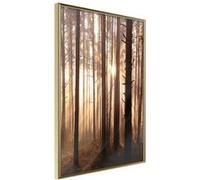 Poster et affiche - Morning in the Forest - 30x45 Artgeist (27254)