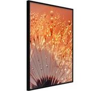 Affiche Murale Encadrée Orange Breath of the Summer 21 x 30 cm Noir