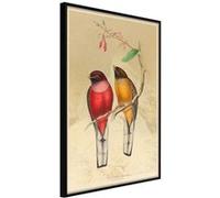 Affiche Murale Encadrée "Ornithologist's Drawings" 21 x 30 cm Noir Multicolore G