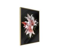 Affiche Murale Encadrée "Pale Pink Lilies" 21 x 30 cm Or