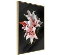 Affiche Murale Encadrée Pale Pink Lilies 30 x 42 cm Or