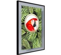 Affiche Murale Encadrée "Parrot Says Hi" 30 x 42 cm Noir Multicolore G