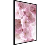 Poster et affiche - Path Paved with Flowers - 40x60 Artgeist (29046) NOIR