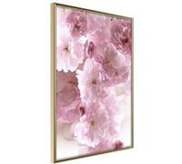 Poster et affiche - Path Paved with Flowers - 40x60 (29048)