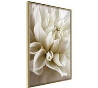 Affiche Murale Encadrée "Peace of Soul" 40 x 60 cm Or Multicolore G