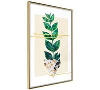 Affiche Murale Encadrée "Perfectly Divided" 40 x 60 cm Or Multicolore G