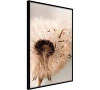 Affiche Murale Encadrée Piece of the Summer 30 x 42 cm Noir