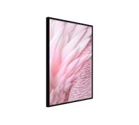 Poster et affiche - Pink Feathers - 40x60 (29598)
