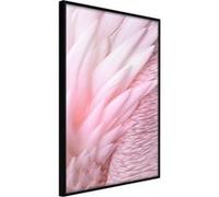Poster et affiche - Pink Feathers - 40x60 (29598)