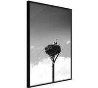 Poster et affiche - Presage of Spring - 20x30 Artgeist (30450) NOIR