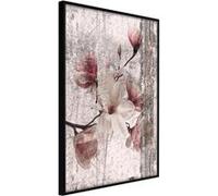 Affiche Murale Encadrée Queen of Spring Flowers I 30 x 42 cm Noir