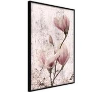 Affiche Murale Encadrée "Queen of Spring Flowers II" 30 x 42 cm Noir Multicolore G