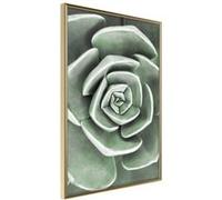 Affiche Murale Encadrée Robust Plant 30 x 42 cm Or