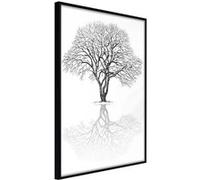 Affiche Murale Encadrée "Roots or Treetop" 21 x 30 cm Noir Multicolore G