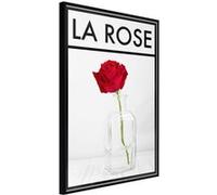 Affiche Murale Encadrée Rose in the Vase 21 x 30 cm Noir