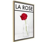 Affiche Murale Encadrée "Rose in the Vase" 21 x 30 cm Or Multicolore G