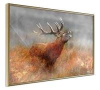 Affiche Murale Encadrée "Rut" 60 x 40 cm Or Multicolore G