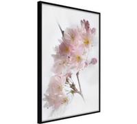 Affiche Murale Encadrée Scent of Spring 30 x 42 cm Noir