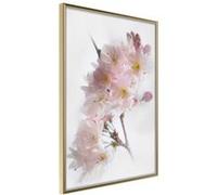 Affiche Murale Encadrée Scent of Spring 30 x 42 cm Or