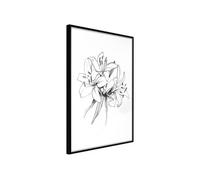 Affiche Murale Encadrée "Sketch of Lillies" 21 x 30 cm Noir